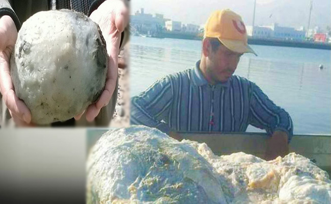 fisherman-becomes-instant-millionaire-after-finding-rare-whale-vomit